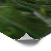 ポピープリント ポスター (角)