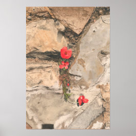 ポピー三杯 ポスター