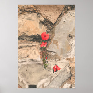 ポピー三杯 ポスター