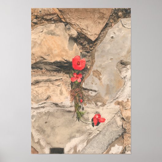 ポピー三杯 ポスター (正面)