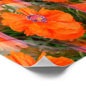 ポピー中国のフィールド… ポスター (角)