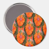 ポピー中国のフィールド… マグネット (正面/裏面)