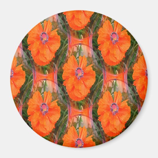 ポピー中国のフィールド… マグネット (正面)