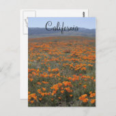 ポピー予約 ポストカード (正面/裏面)