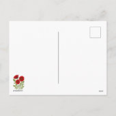 ポピー咲く楽しい夏の花 シーズンポストカード (裏面)