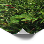 ポピー場 ポスター (角)