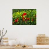 ポピー場 ポスター (キッチン)