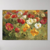 ポピー場 ポスター (正面)