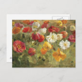 ポピー場 ポストカード (正面/裏面)