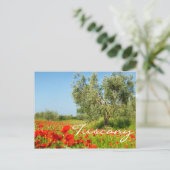 ポピー畑のオリーブの木の文字はがき ポストカード (スタンド正面)