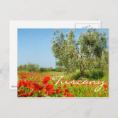 ポピー畑のオリーブの木の文字はがき ポストカード (正面/裏面)