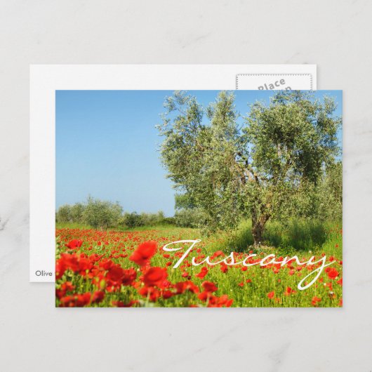 ポピー畑のオリーブの木の文字はがき ポストカード (正面/裏面)