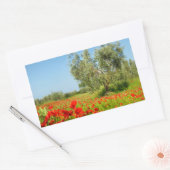 ポピー畑のオリーブの木の長方形ステッカー 長方形シール (封筒)