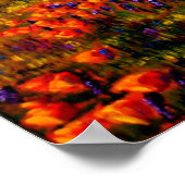 ポピー畑のオーク ポスター (角)