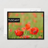 ポピー畑の黒いエッジのはがきにポピー ポストカード (正面/裏面)