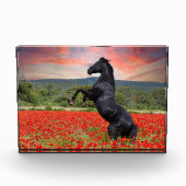 ポピー畑の黒馬 フォトブロック (正面)