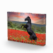 ポピー畑の黒馬 フォトブロック (右)