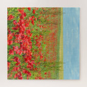 ポピー畑パズル ジグソーパズル (横)