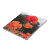 ポピー畑、バラ色のミカンの花 タイル (側面)