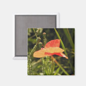 ポピー磁石 マグネット (正面/裏面)