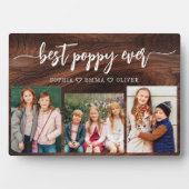 ポピー祖父の孫ウッドフォトコラージュ フォトプラーク (正面)