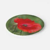 ポピー紙プレート ペーパープレート (アングル)