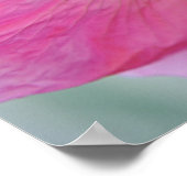 ポピー花アンダー花びら写真アートプリント ポスター (角)