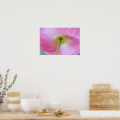 ポピー花アンダー花びら写真アートプリント ポスター (キッチン)