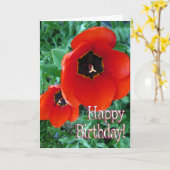 ポピー花 – ハッピーバースデー! カード (黄色い花)