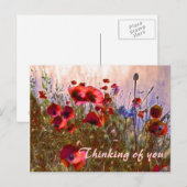 ポピー芸術品を気取ったパイ！ ポストカード (正面/裏面)