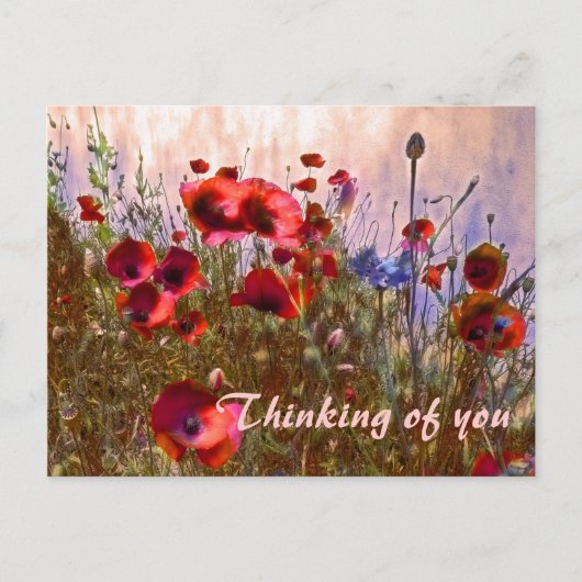 ポピー芸術品を気取ったパイ！ ポストカード (正面)