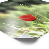 ポピー芸術的の野絵画花 フォトプリント (角)