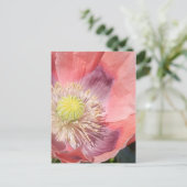 ポピー葉書 ポストカード (スタンド正面)