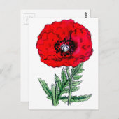 ポピー赤い花ヴィンテージつる植物 ポストカード (正面/裏面)
