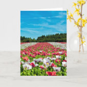 ポピー赤と白フィールド カード (黄色い花)