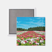 ポピー赤と白フィールド マグネット (正面/裏面)