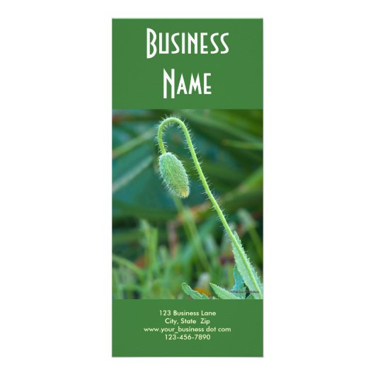 ポピー進行中 ラックカード (正面)