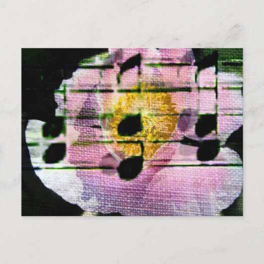 ポピー音楽 ポストカード (正面)