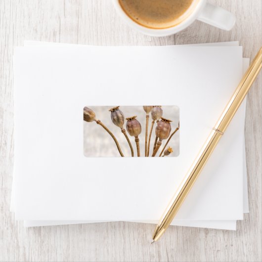 ポピー麦わら莢 ラベル (インサイチュ)