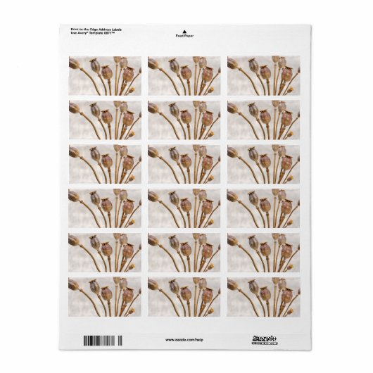 ポピー麦わら莢 ラベル (フルシート)