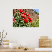 ポピー1 ポスター (キッチン)