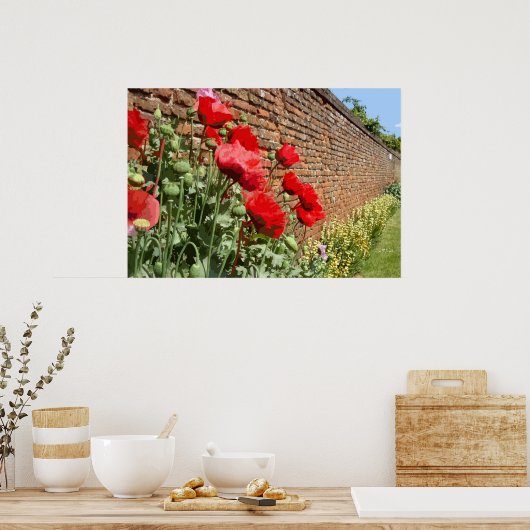 ポピー1 ポスター (キッチン)