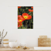 ポピー1 ポスター (キッチン)