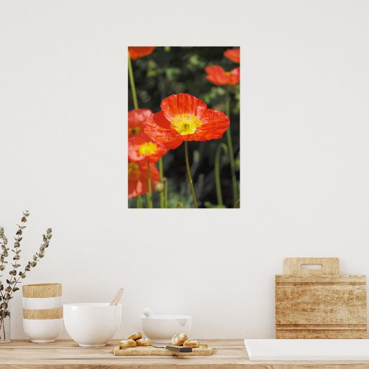 ポピー1 ポスター (キッチン)