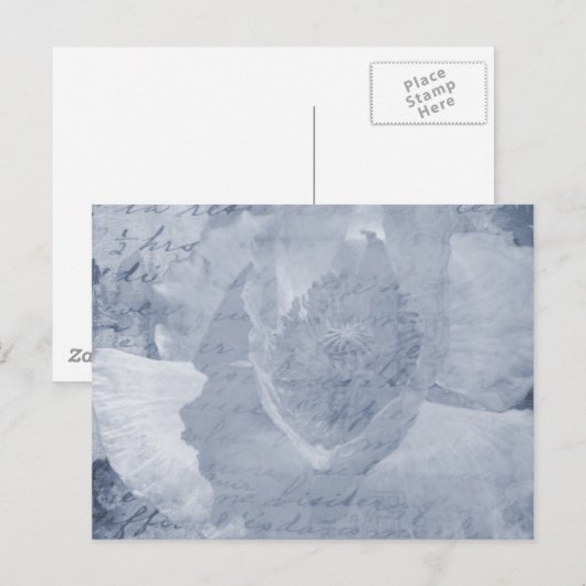 ポピー2 ポストカード (正面/裏面)