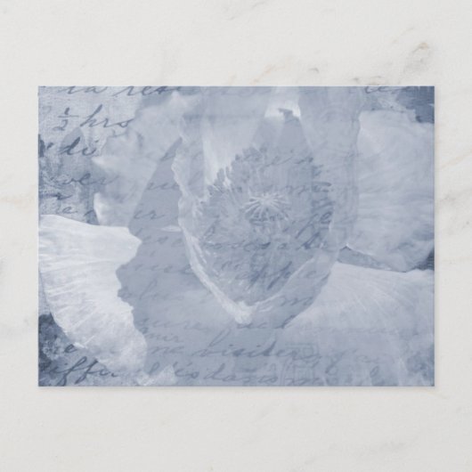 ポピー2 ポストカード (正面)