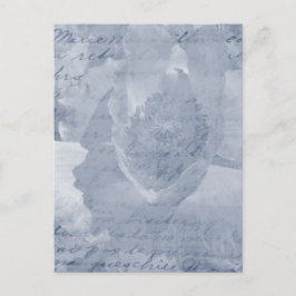 ポピー2 ポストカード