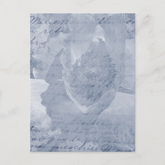 ポピー2 ポストカード (正面)