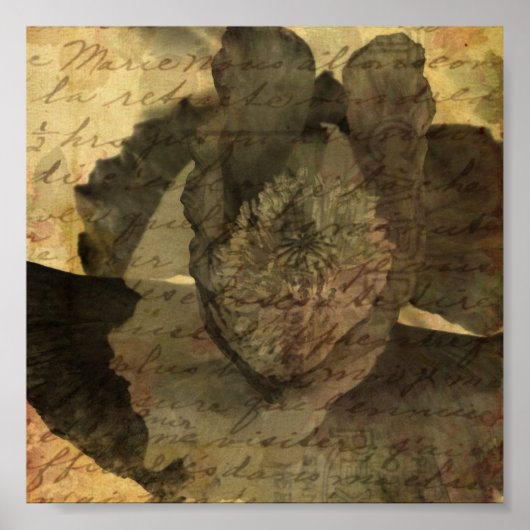 ポピー3 ポスター (正面)