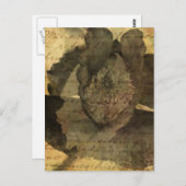 ポピー3 ポストカード (正面/裏面)